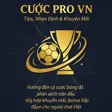 Cá Cược Thể Thao
